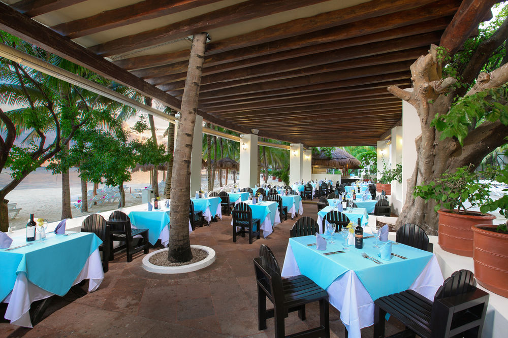 Grand Oasis Palm Grand Oasis Palm