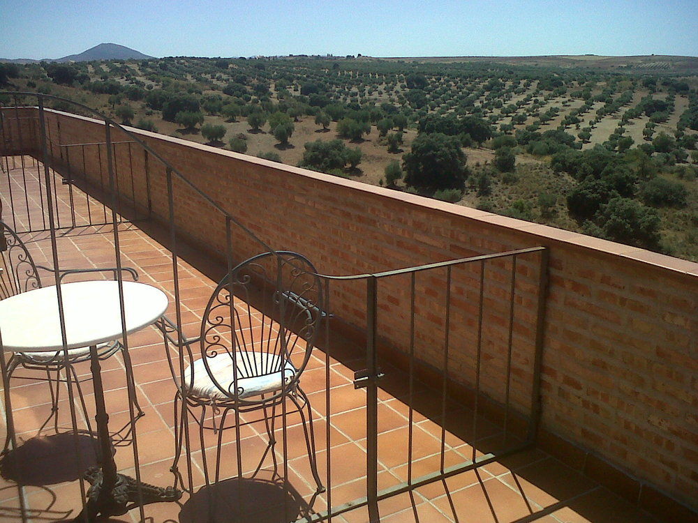 CASA RURAL CIGARRAL DEL PINTOR