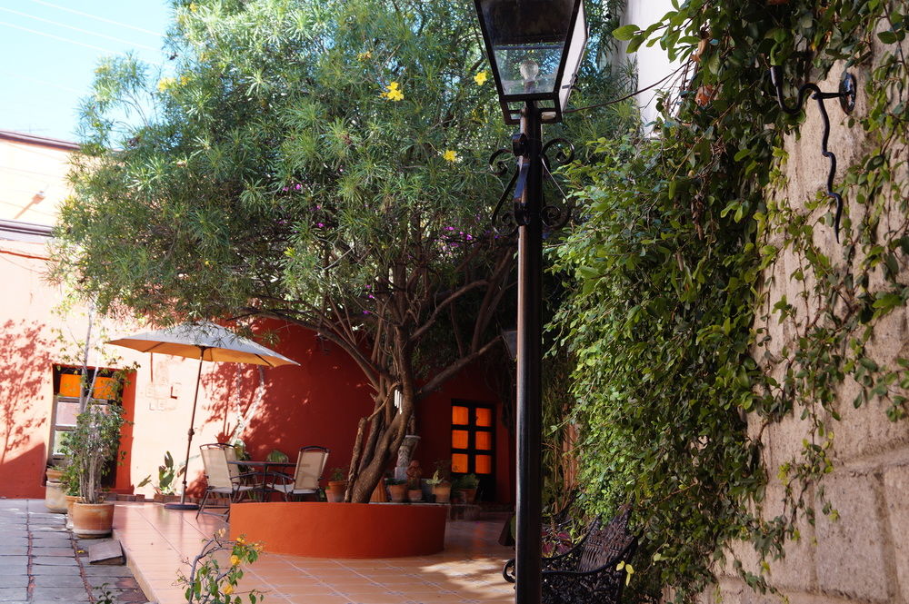CASA ESPEJOS HOLISTIC B&B- ADULTS ONLY