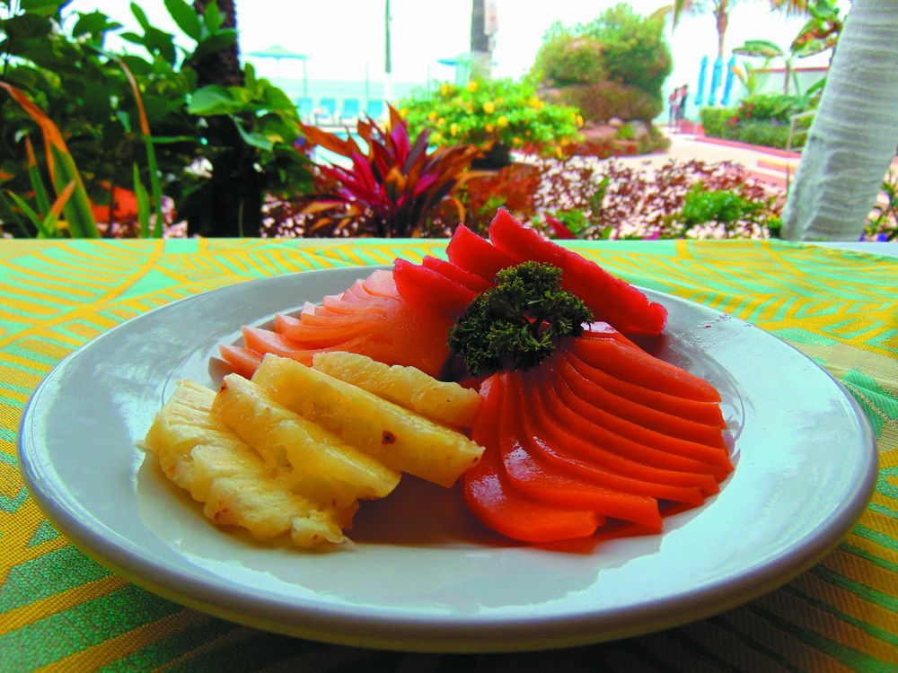 HOTEL EL PESCADOR VALLARTA CENTRO