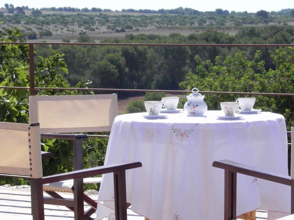 FINCA PUIG PELAT