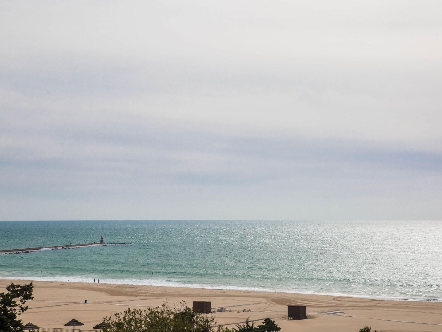 PRAIA DA ROCHA OCEAN VIEW