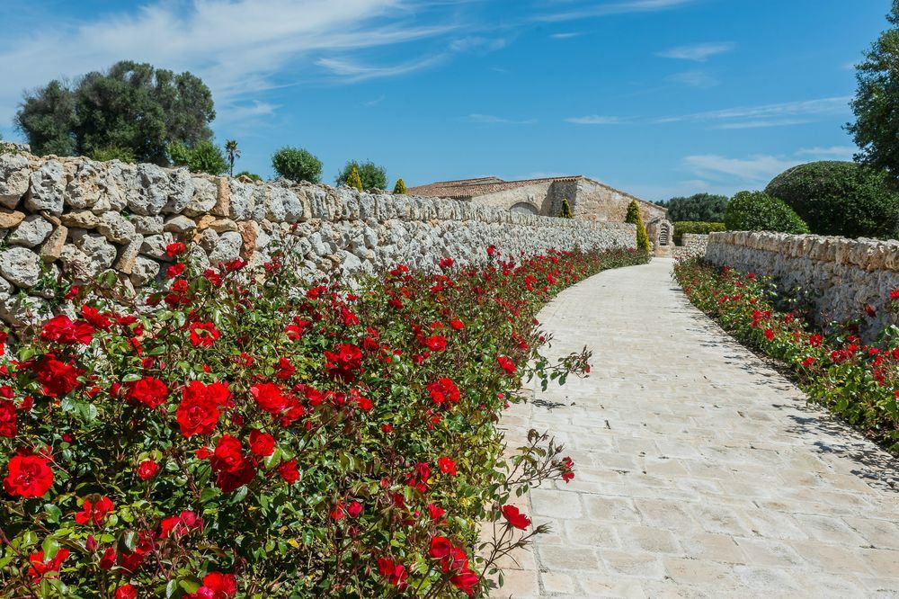 CUGÓ GRAN MENORCA