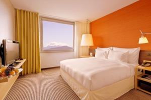 INTERCONTINENTAL GENEVA