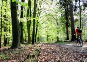 DOLCE LA HULPE BRUSSELS