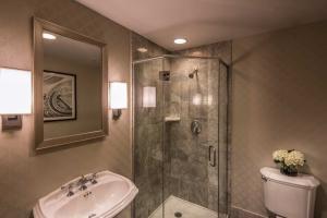 Hotel Hilton St. Louis Downtown en San Luis