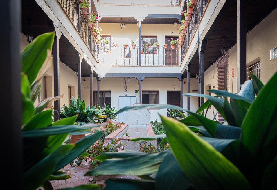 Patio de la Cartuja