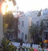 CLUB PALOMA APART GUMBET