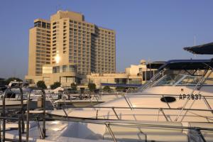 Oferta en Hotel Intercontinental Abu Dhabi en Abu Dhabi