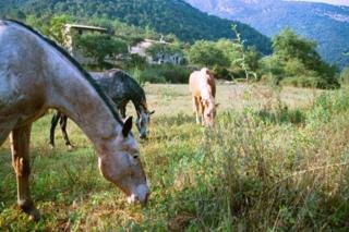 MASIA CAN PEI - Hotel cerca del Golf Fontanals de Cerdanya