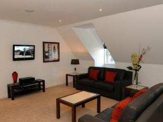 FOUNTAIN COURT APARTMENTS - GROVE EXECUTIVE