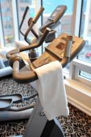 LE ST-MARTIN HOTEL PARTICULIER MONTREAL
