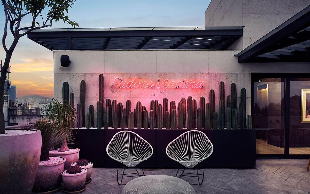 Frida Luxury Plus by Viadora