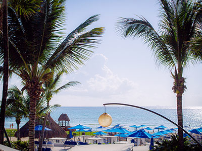 THE REEF PLAYACAR