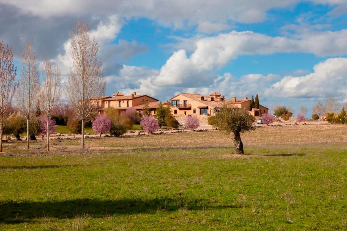 ABBA LAS VIÑAS TIEDRA