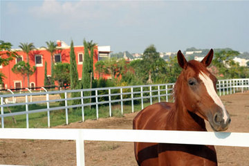 Tenuta La Baronessa Resort