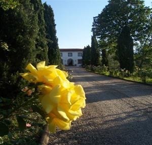 VILLA DEL ROSETO