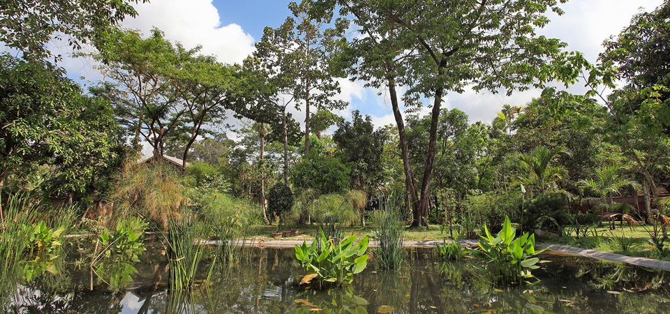 MAISON POLANKA - SIEM REAP