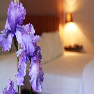 Hotel Arbre De Neu