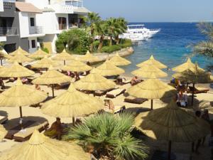 PREMIUM SEAGULL RESORT