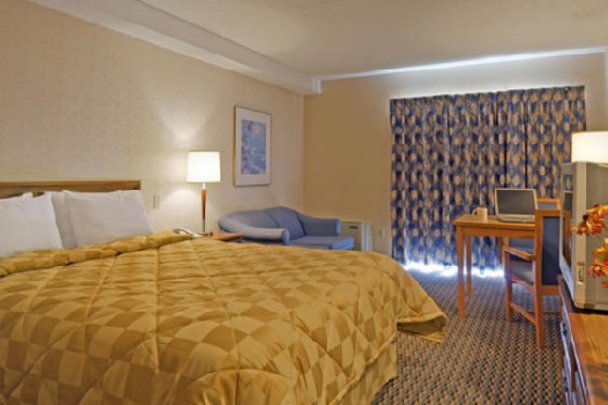 Trovalia Comfort Inn Owen Sound