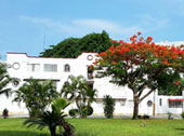 OLINALA DIAMANTE