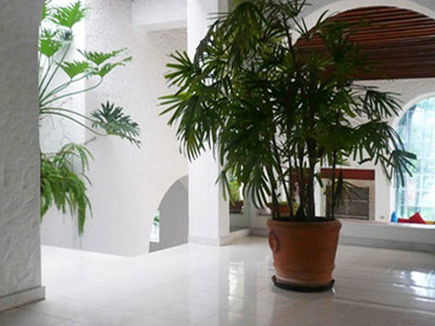 CASA ALATRISTE