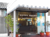 HOTEL PUELCHES
