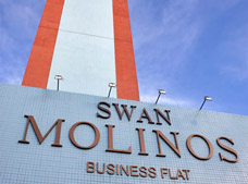 SWAN MOLINOS BUSINESS