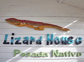 Posada Nativa Lizard House