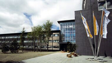 SELFOSS
