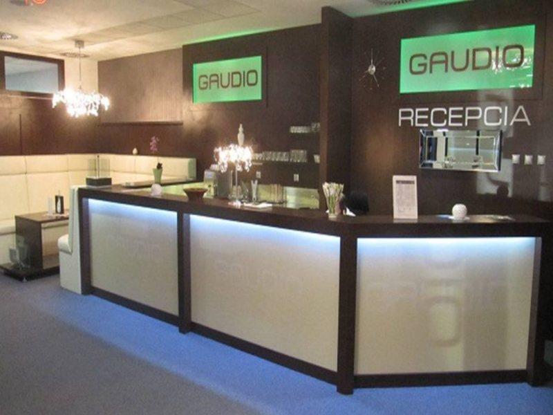 GAUDIO