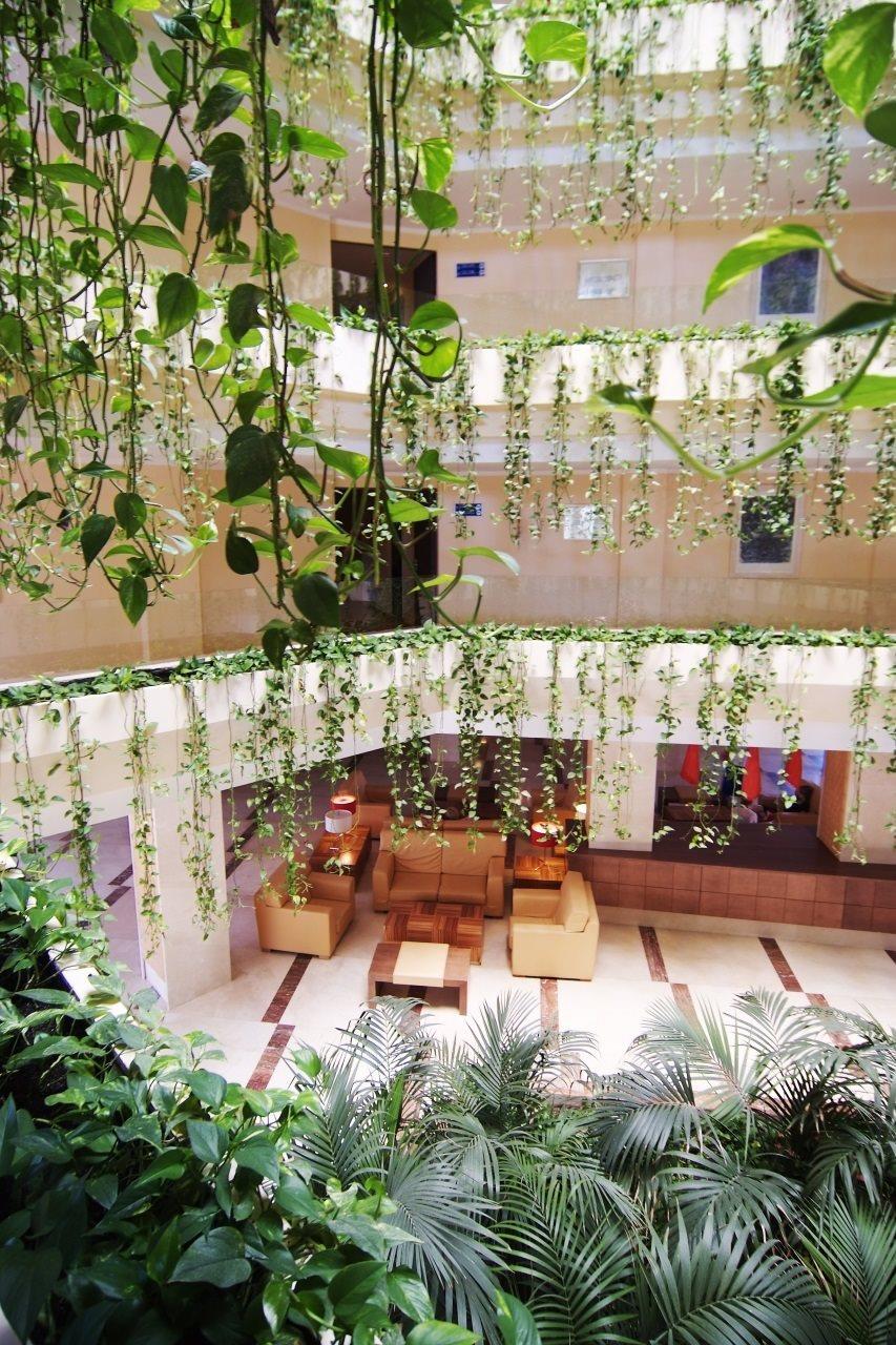 ZAFIRO TROPIC (EX VIVA TROPIC AND SPA)
