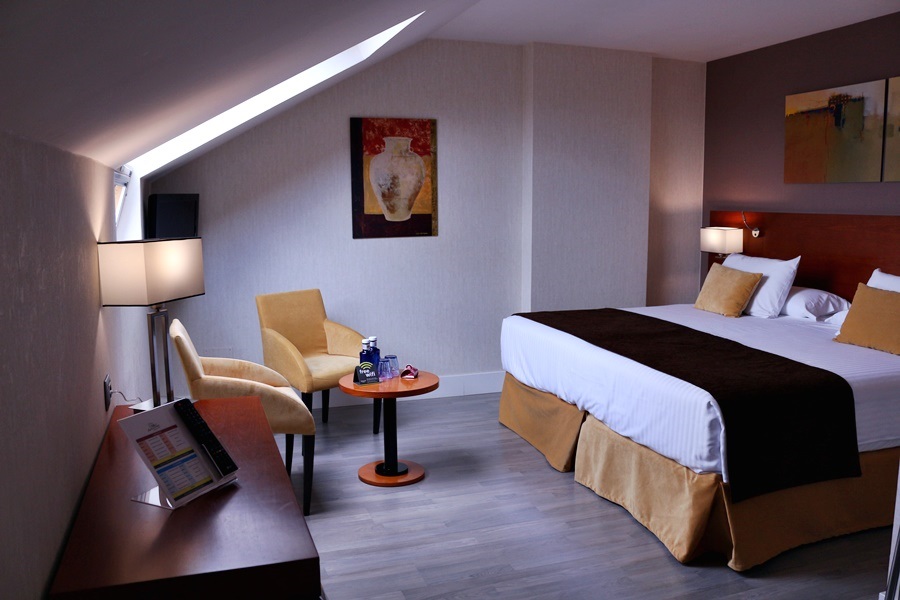 Hotel Puerta De Toledo (f) Hotel Puerta De Toledo (f)