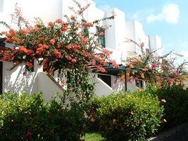CAPRI BUNGALOWS
