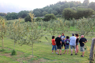 RURAL CUARTAMENTERU