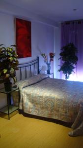 APARTAMENTO PARIS CENTRO - ZARAGOZA