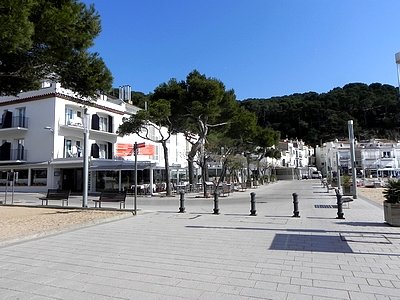 TAMARIU