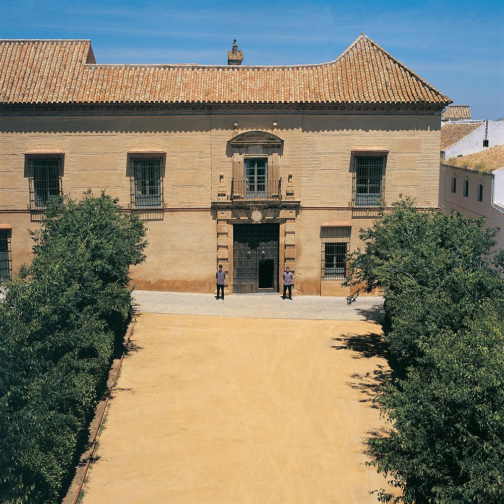 CASA PALACIO DE CARMONA