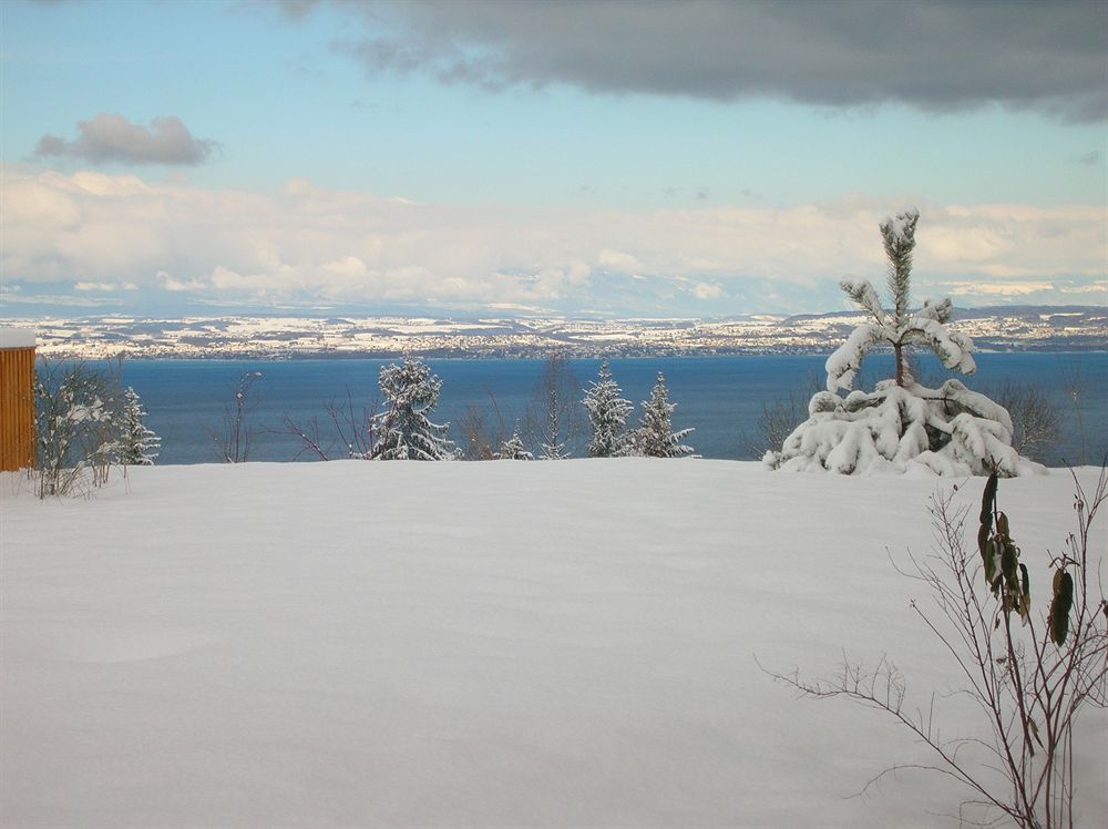 ODALYS RÉSIDENCE LES CHALETS D'EVIAN