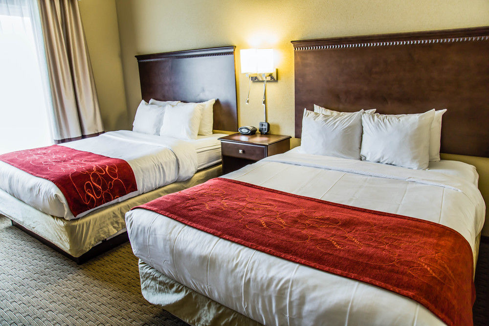 COMFORT SUITES SARASOTA