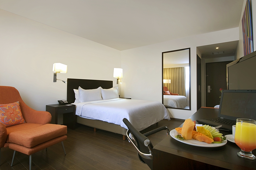 FIESTA INN INSURGENTES SUR