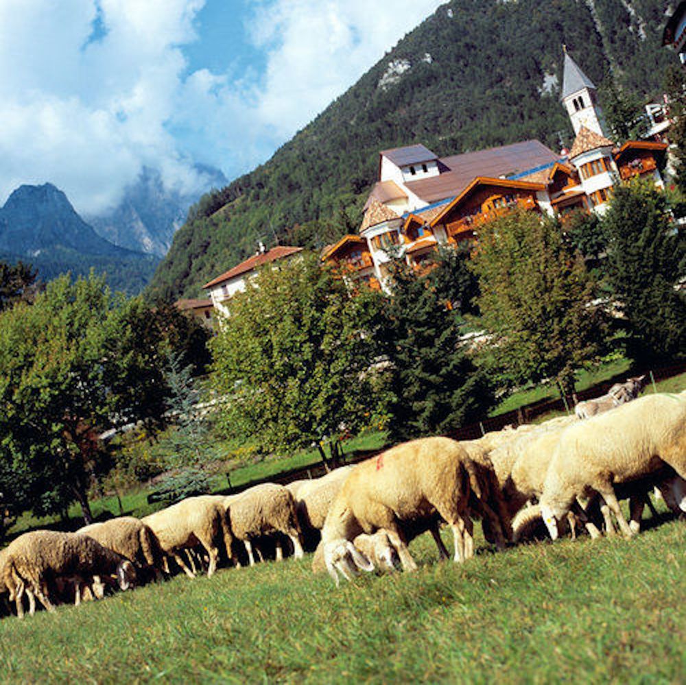Fotos del hotel - Du Lac Vital Mountain Hotel