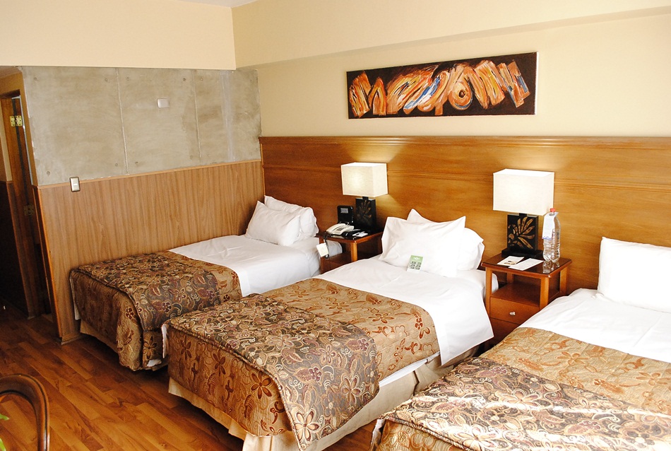 Fotos del hotel - PANAMERICANO
