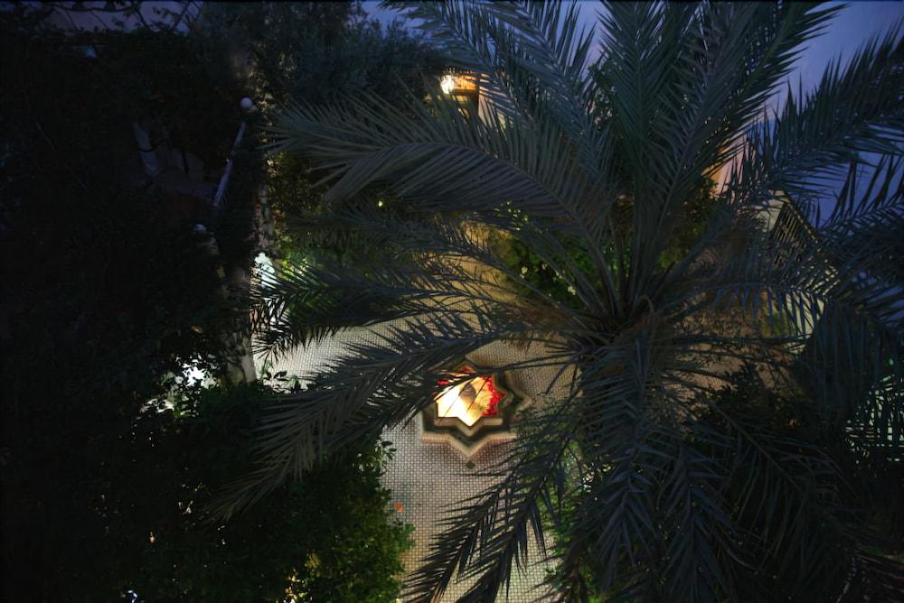 Fotos del hotel - Riad Ifoulki