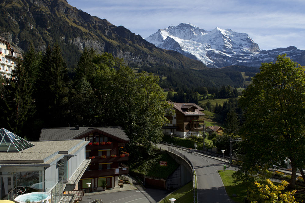 Fotos del hotel - Silberhorn