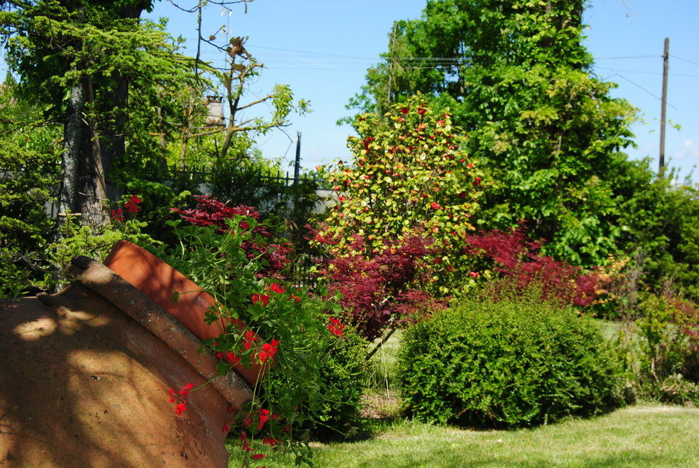 Fotos del hotel - Relais Villa Roncuzzi