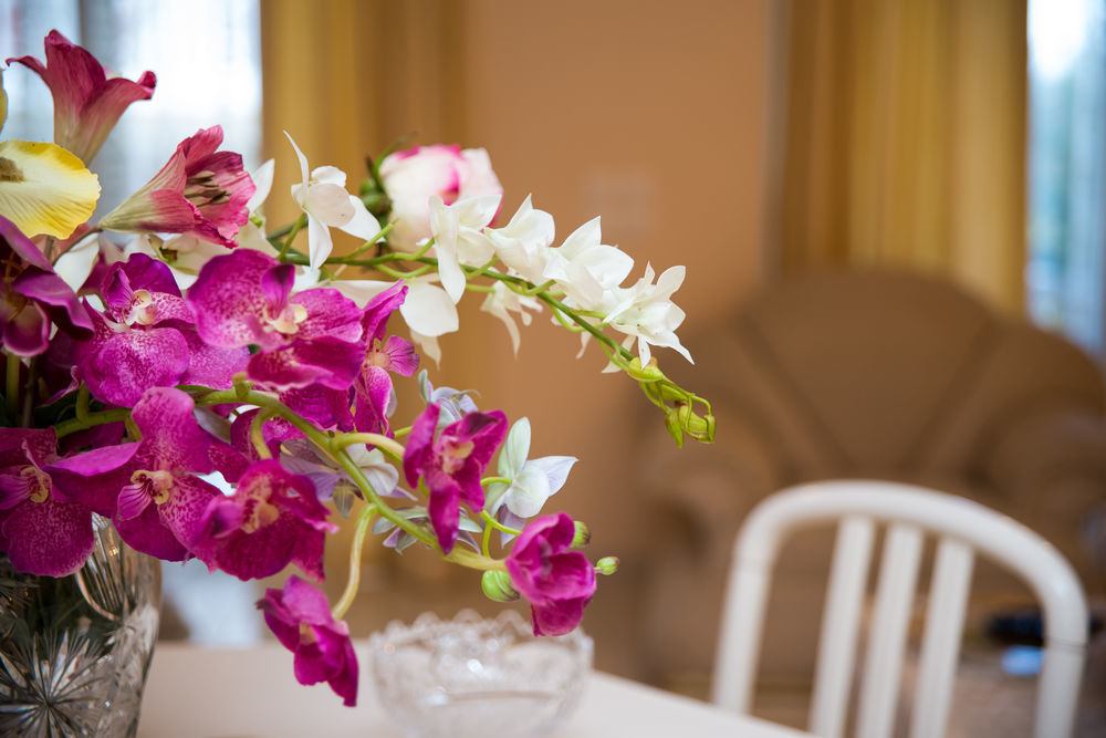 Fotos del hotel - EDELWEISS APARTMENTS