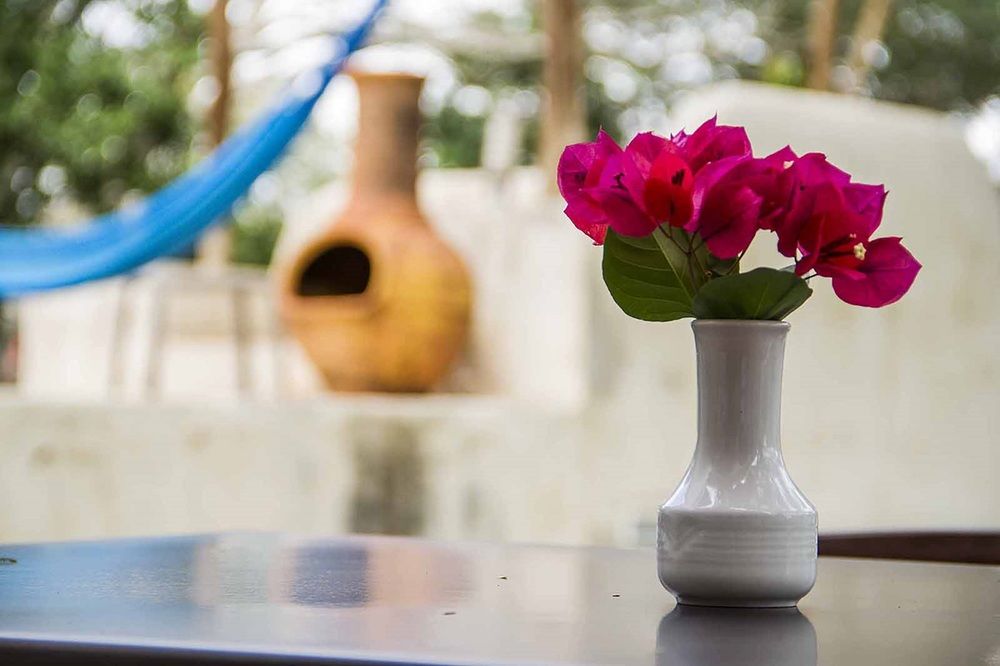 Fotos del hotel - Hacienda Santa Cruz