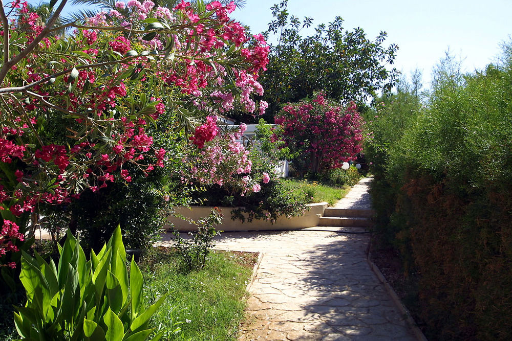 Fotos del hotel - KISSOS HOTEL